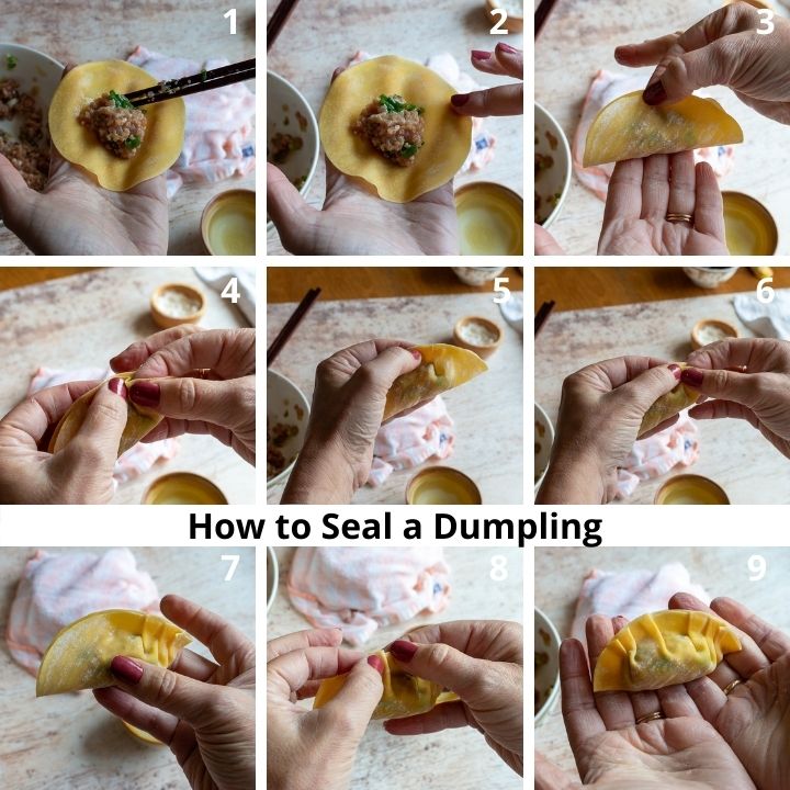 Step by Step showing how to seal and crimp dumplings.