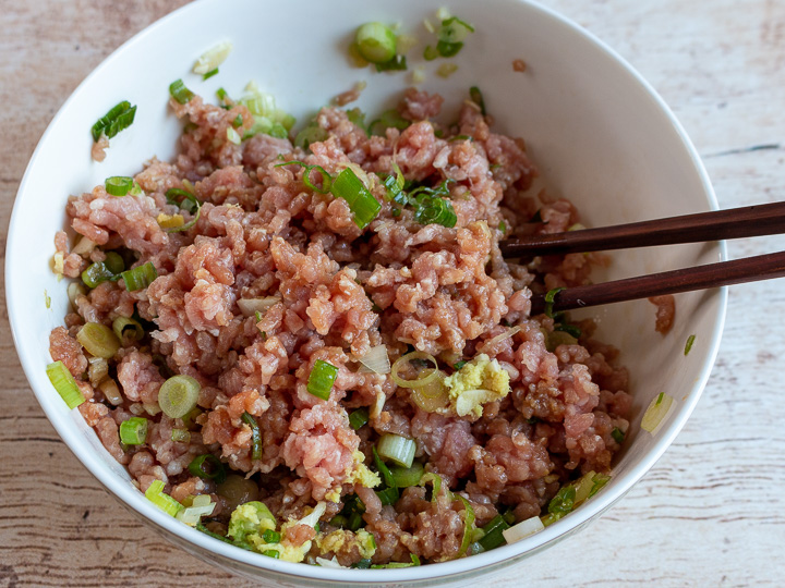 Pork marinated with the Chinese ingredients and green onions in a white plate. 