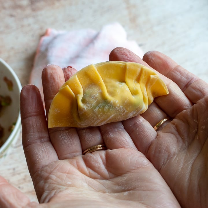 One prepared dumpling ready to be cooked in hands. 