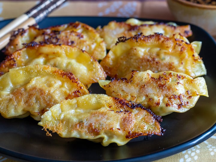 Pan-Fried Potstickers on a black plate.