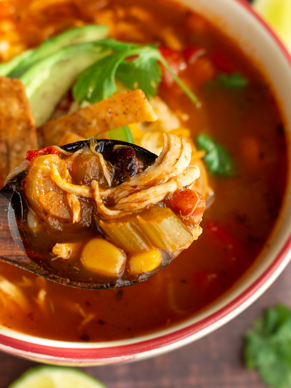 Spoonful of soup with chicken, corn, black beans, tomatoes and celery. 