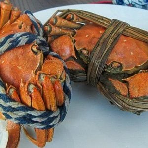 Male and female cooked hairy crabs on a white plate, tied up.