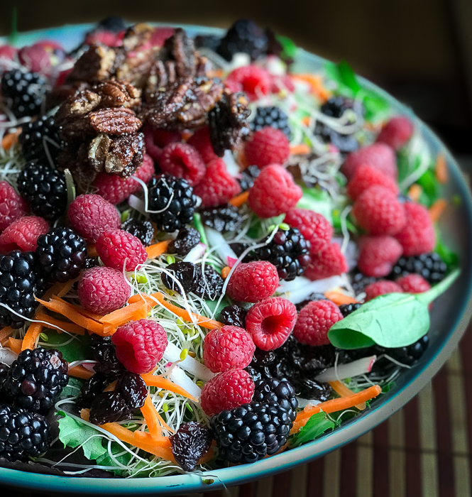 Close up shot Dried Cranberry Sugar Glazed Pecan Holiday Salad