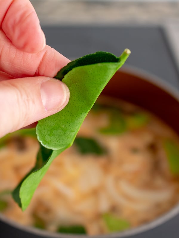 Holding a kaffir lime leaf to show the stem that needs to be removed to release all the flavor into the soup. 