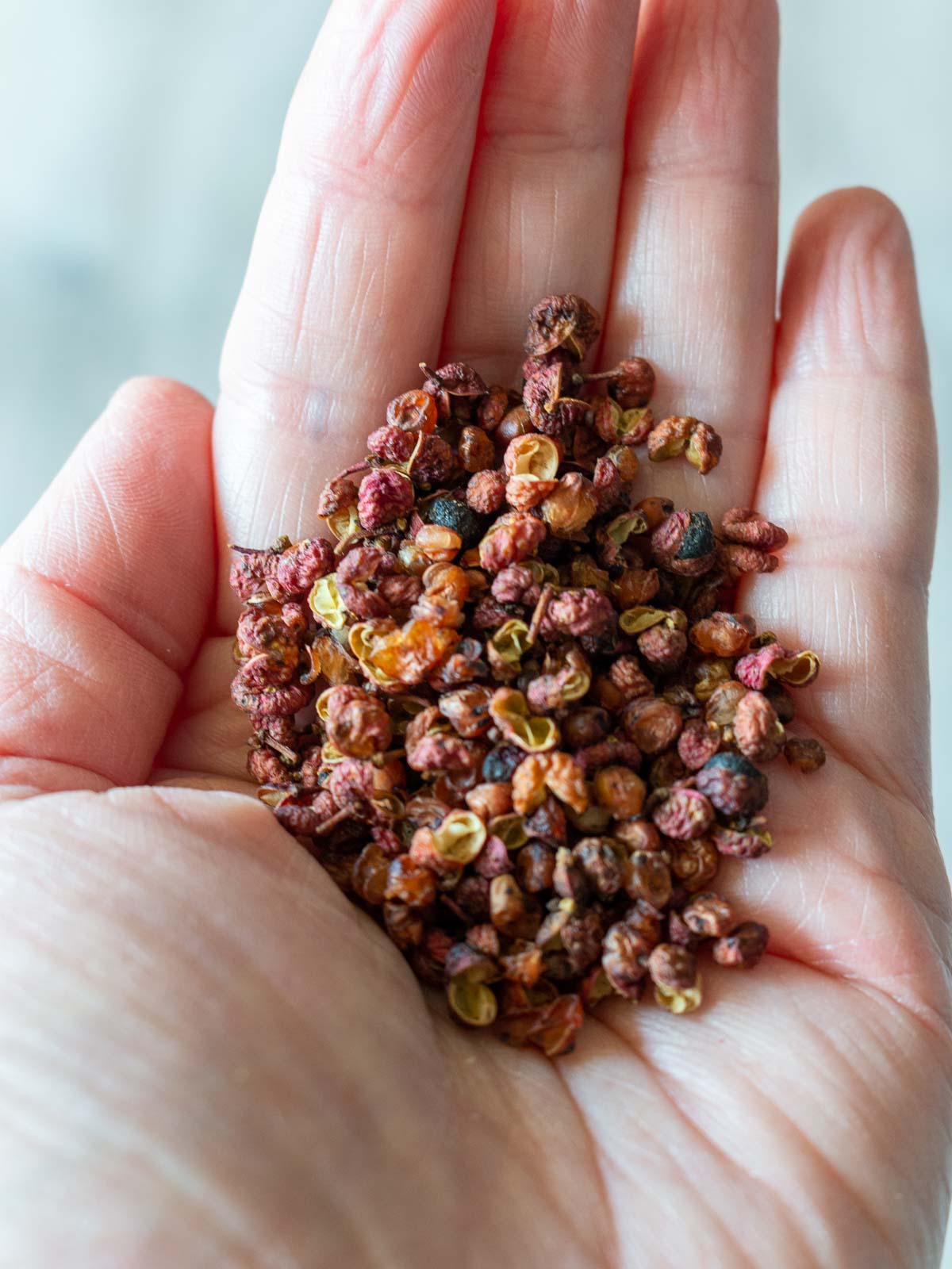 Whole Sichuan peppercorns held in a hand.