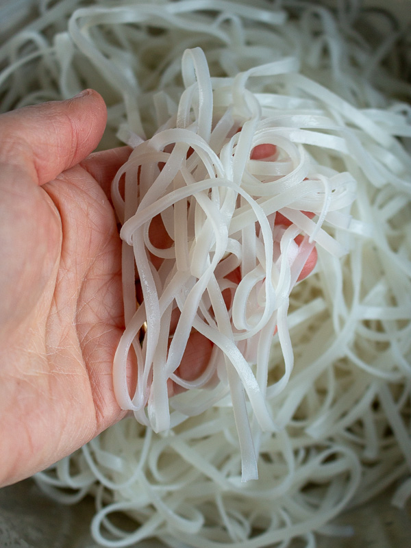 Showing the rice noodles after they have been soaking and drained. 