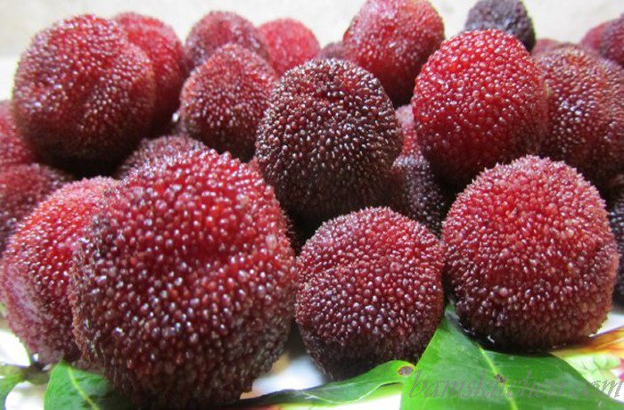 Yummilicious Yang Mei --  Fruits That Start With Y 