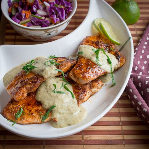 Top down photo of tomatillo salsa on chicken with a coleslaw