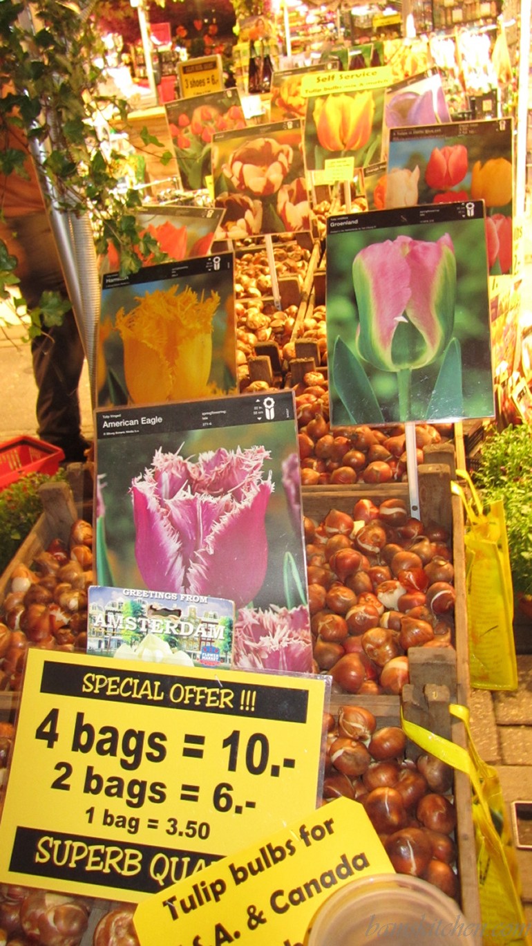 Tulips bulbs for sale in Amsterdam.