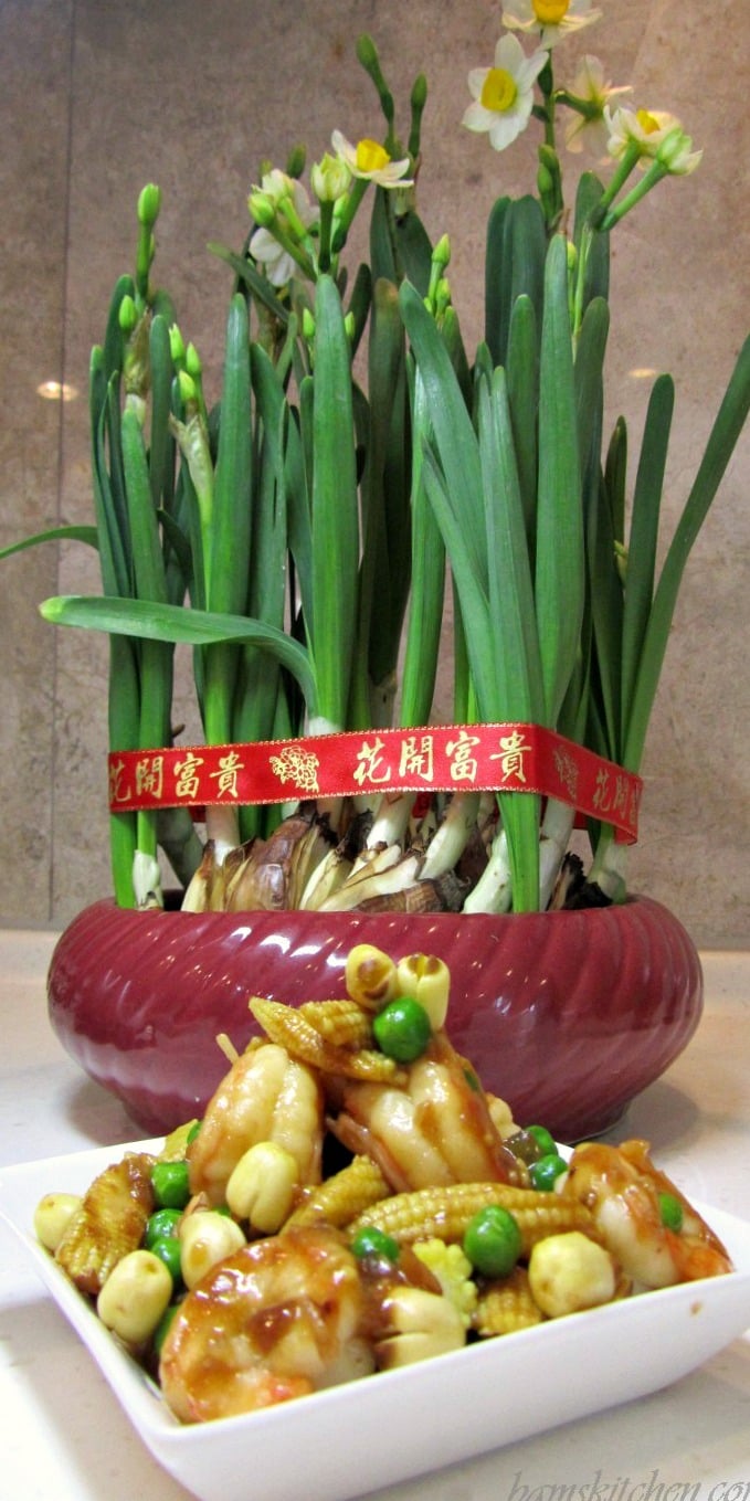 Special Chinese New Year plants to ring in the new year with a plate of the delicious stir fry.