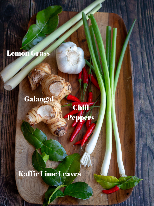 Diagram showing what lemongrass, kaffir lime leaves, galangal and chili peppers look like.