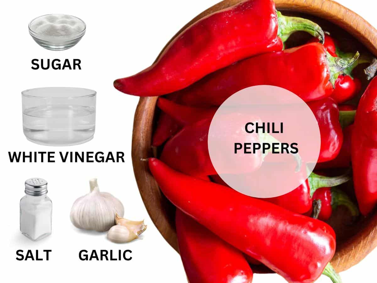 Ingredients to make hot and spicy homemade garlic chili sauce.