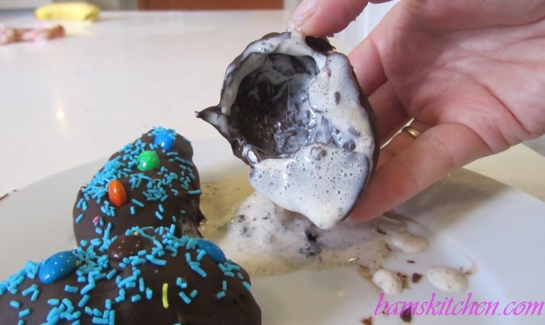 Chocolate Frozen Yogurt Bites