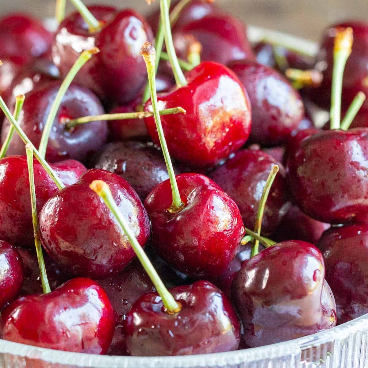 Fresh dark sweet Michigan cherries piled high in a glass bowl. 