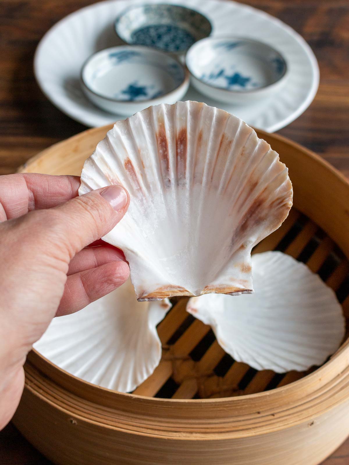 Holding up a culinary safe scallop shell and little cute blue and white ramekin dishes in the background.