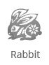 rabbit