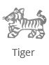 tiger