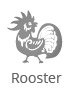 rooster