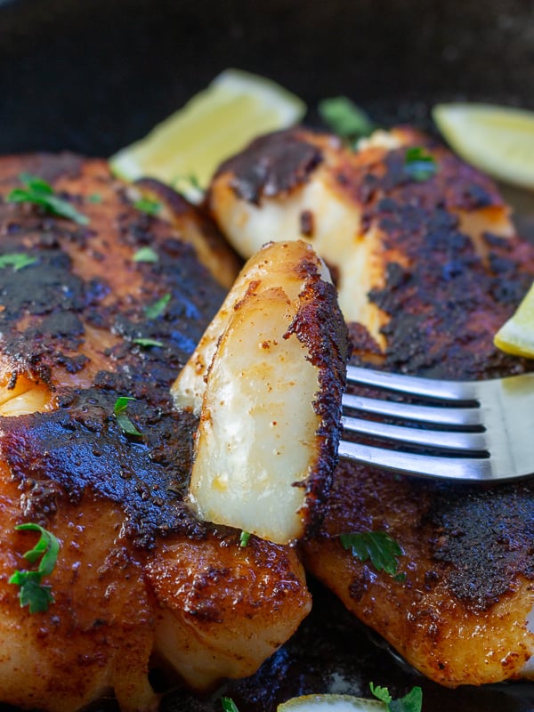 Delicious flaky bite of Cajun Blackened Cod. 