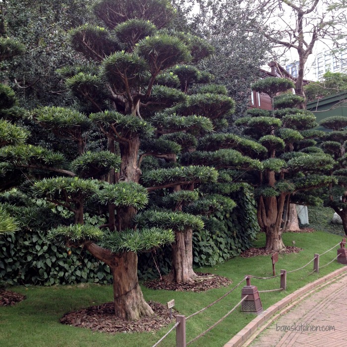 Nian Lian Gardens_IMG_4479