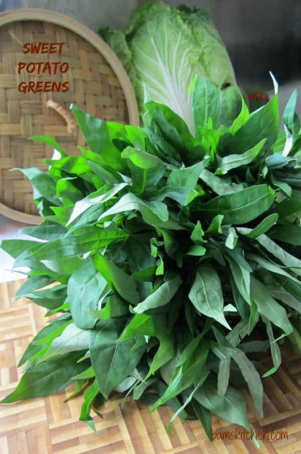 Sweet Potato Greens_IMG_9306