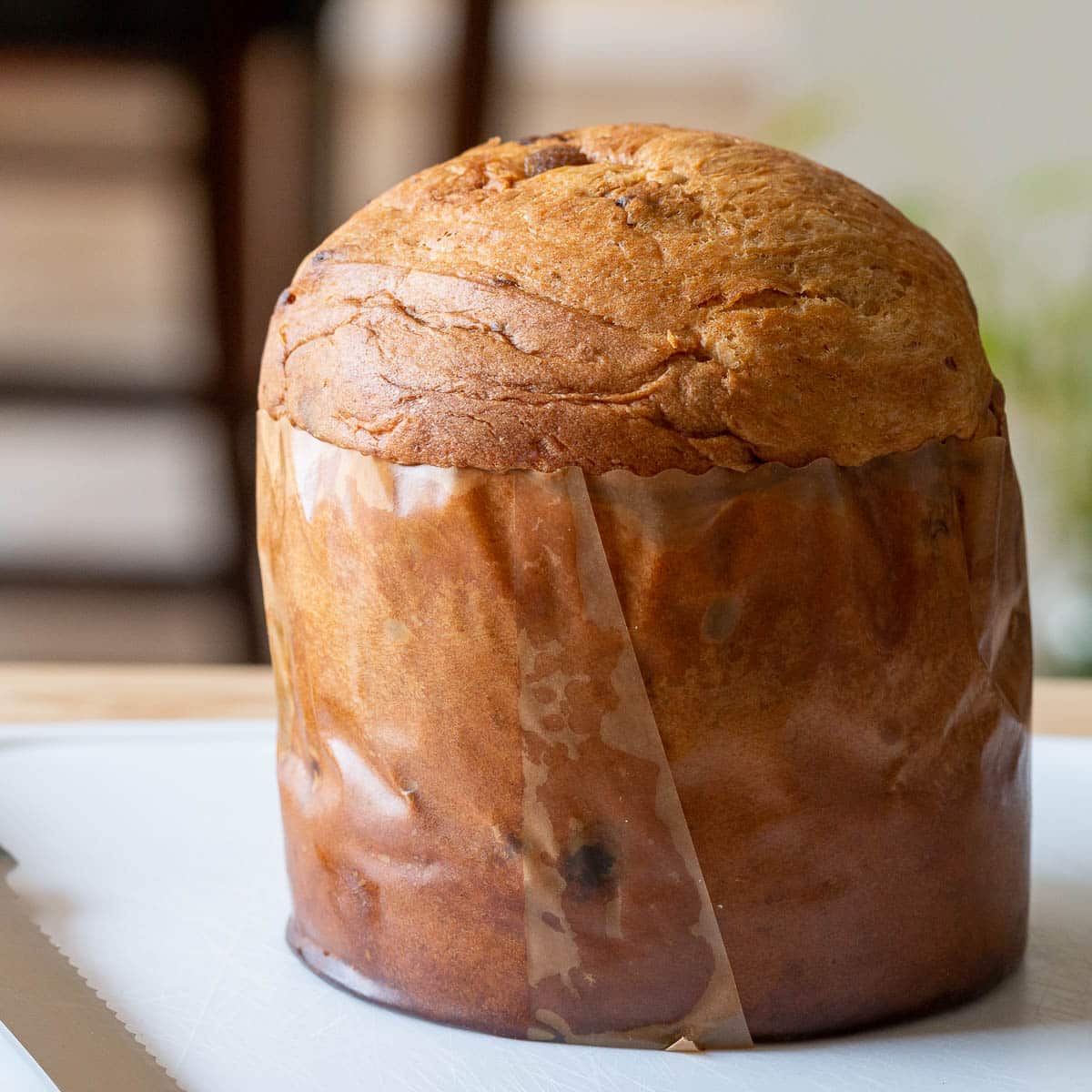 Italian Christmas Bread whole on a white cutting board.