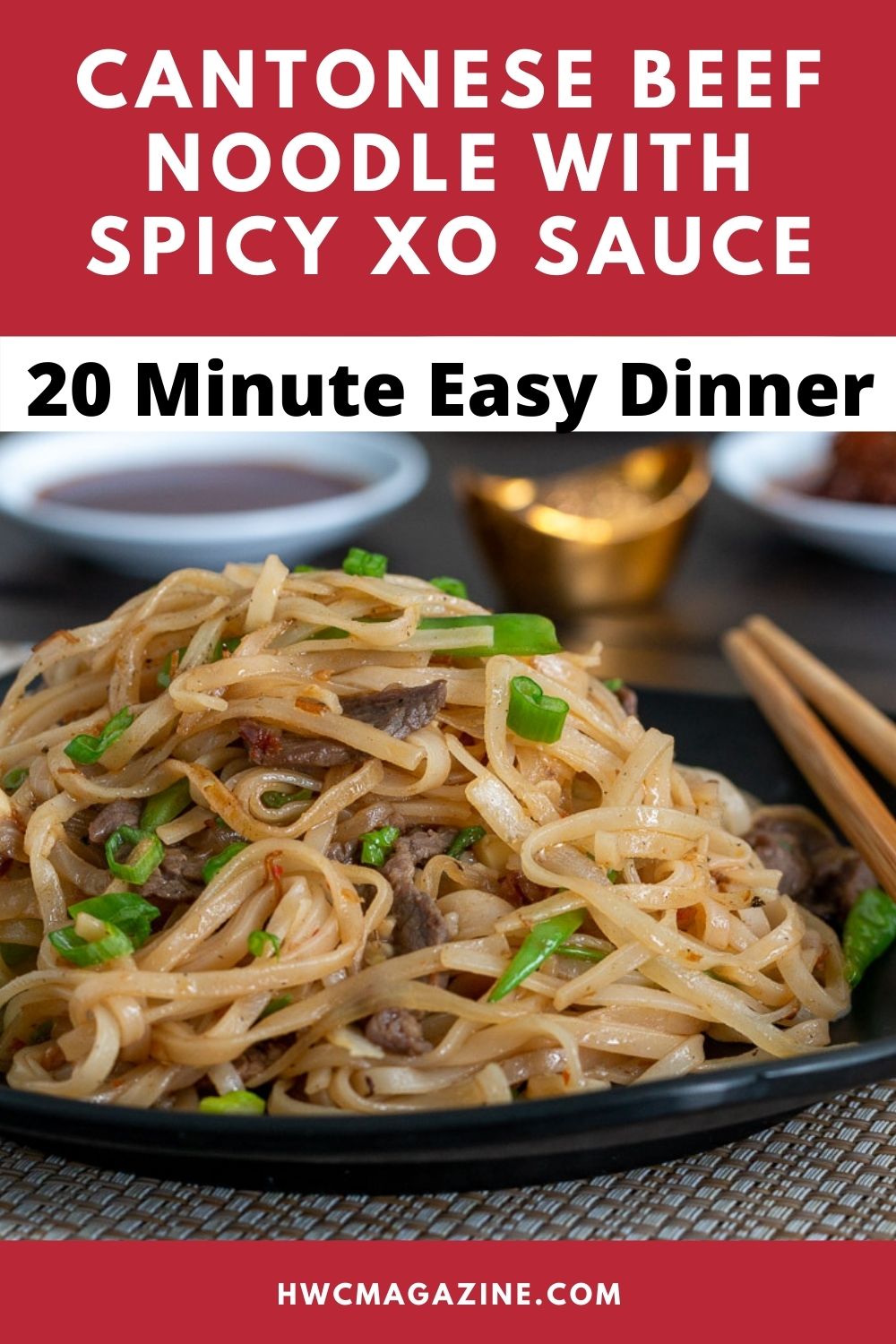 Beef Noodles with Spicy XO Sauce [Video] Healthy World Cuisine