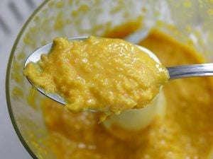 Spoonful of turmeric marinade over the food processor.