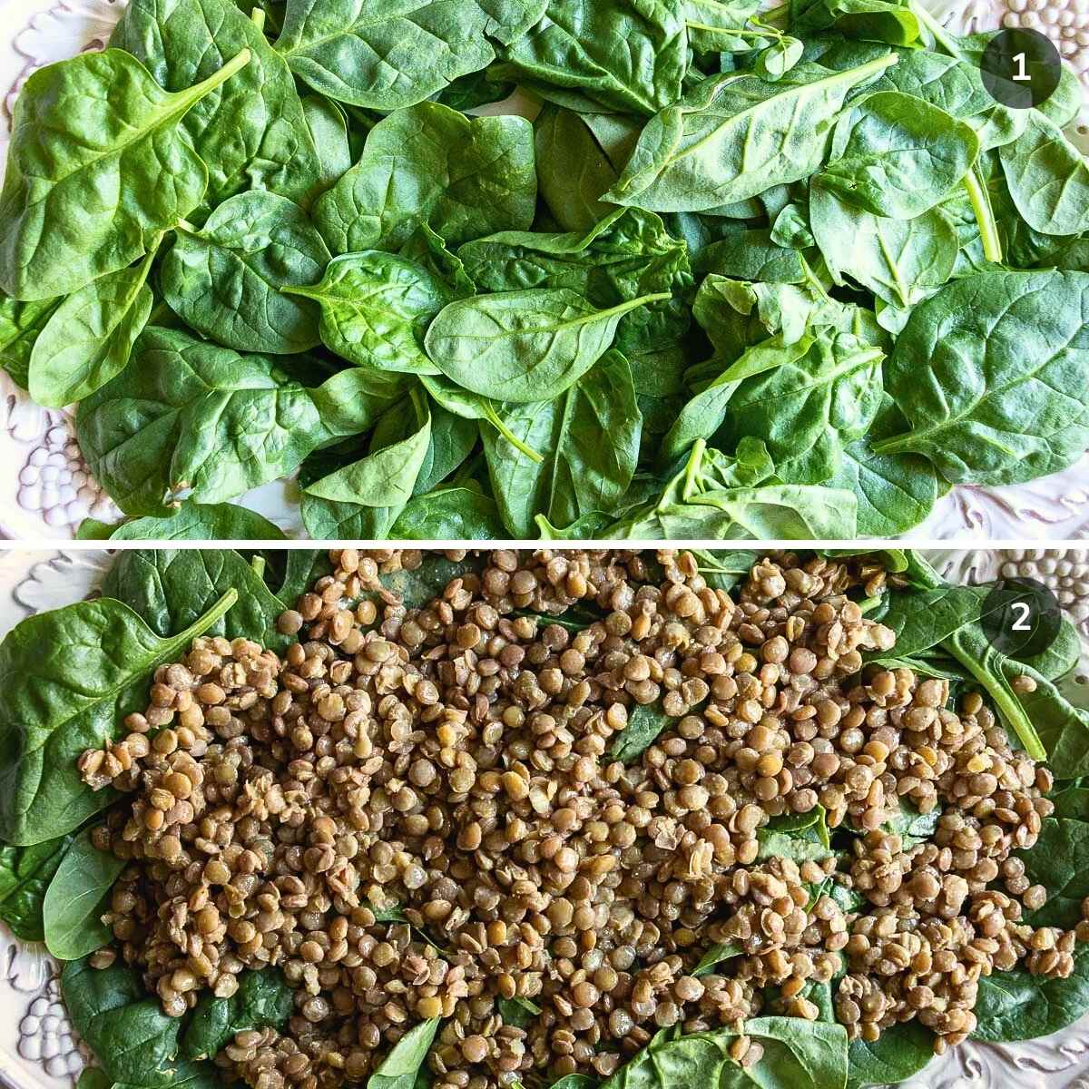 Laying the fresh greens with the seasoned lentils on a large platter.