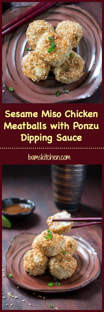 Sesame Miso Chicken Meatballs / https://www.hwcmagazine.com