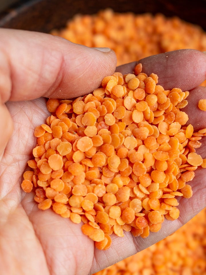 Handful of split red lentils.