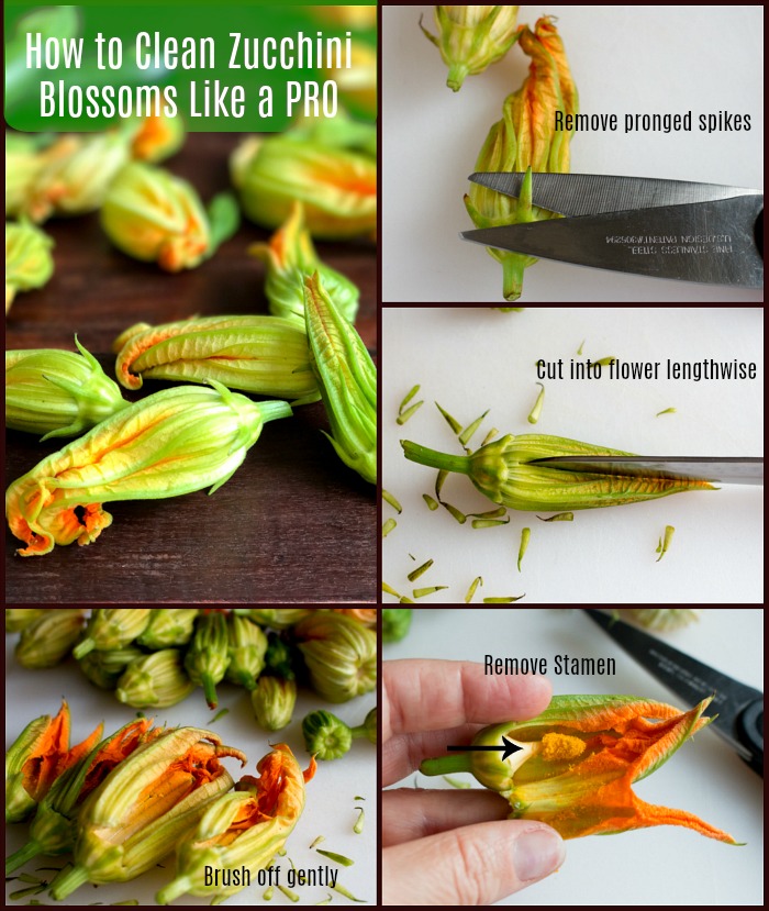 Baked Ricotta Stuffed Zucchini Blossoms / https://www.hwcmagazine.com