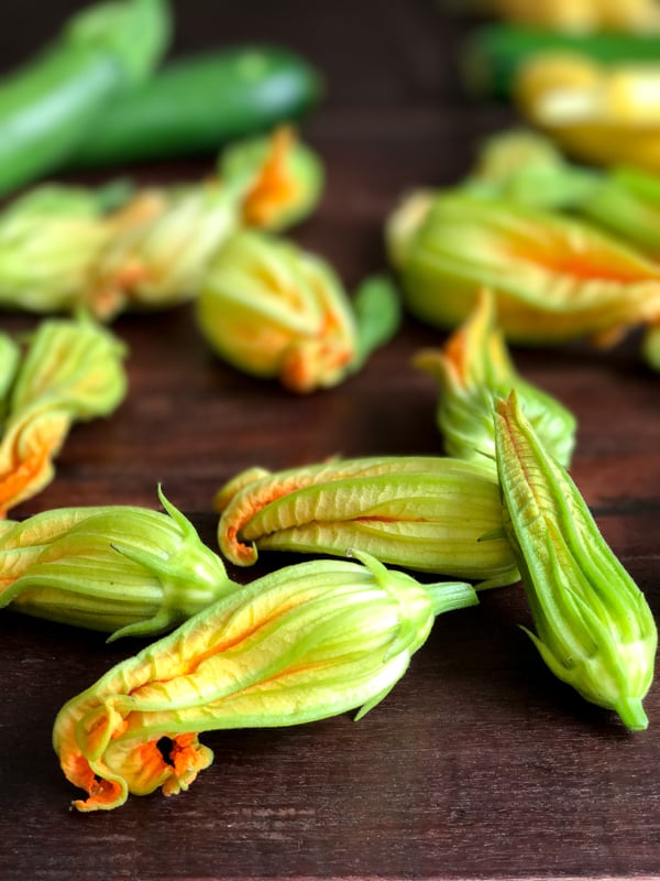 Baked Ricotta Stuffed Zucchini Blossoms / https://www.hwcmagazine.com