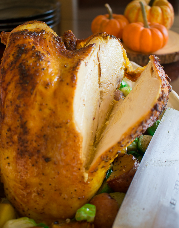 Slice of turkey breast getting served.