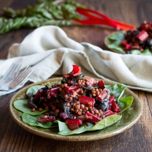 Best Vegan Warm Swiss Chard Lentil Salad / https://www.hwcmagazine.com