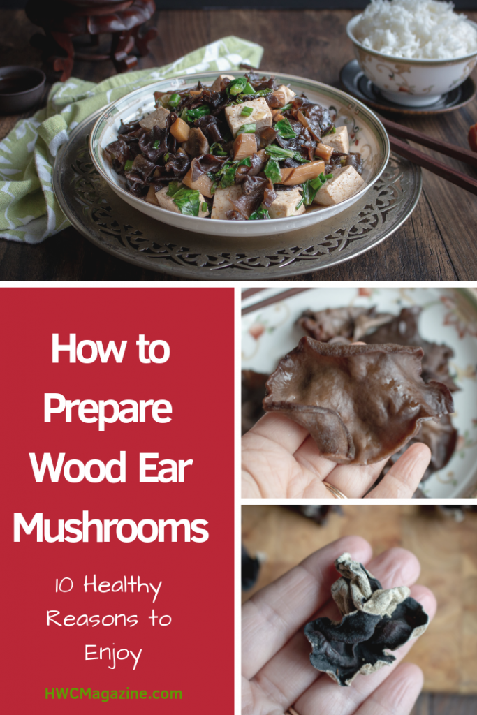 How to Prepare Wood Ear Mushrooms is going to be the best new learned culinary skill this year. Learn 10 healthy facts about this Chinese Black Fungus. Also known as cloud mushroom, pigs mushroom, jelly mushroom, Jew mushroom , etc. #howto #fungus #mushrooms #chinese #tcm #traditionalchinesemedicine #healthyliving #naturalremedy #asianfood #fungus #cloudmushroom #pigsearmushroom #woodearmushroom #mushrooms #glutenfree #vegan / https://www.hwcmagazine.com