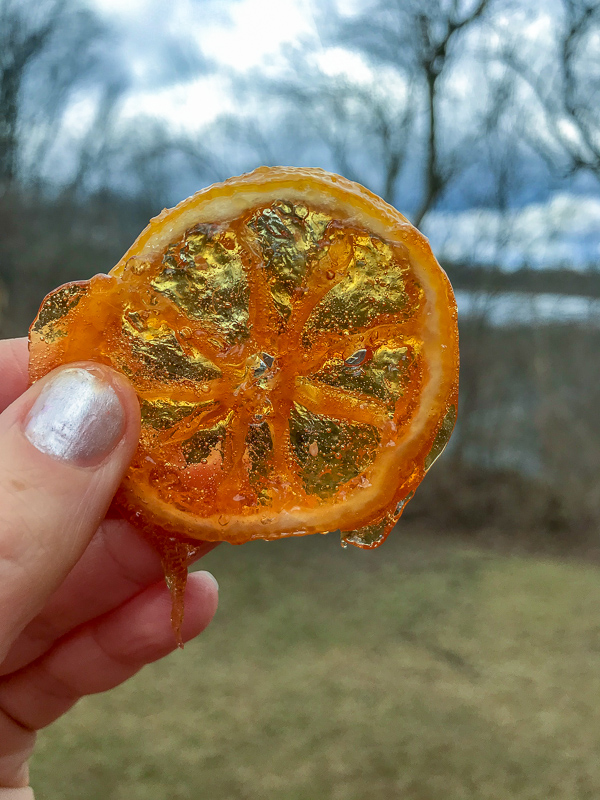 Honey Candied Meyer Lemon Slices / https://www.hwcmagazine.com