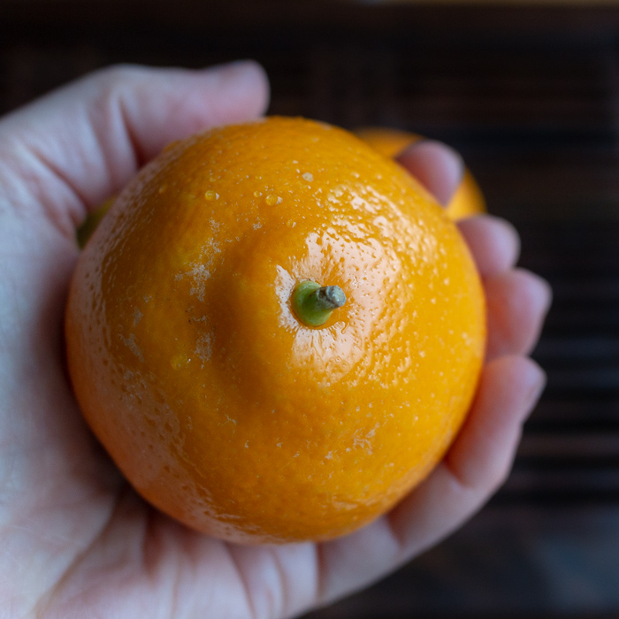 Holding a whole Meyer lemon in a hand.