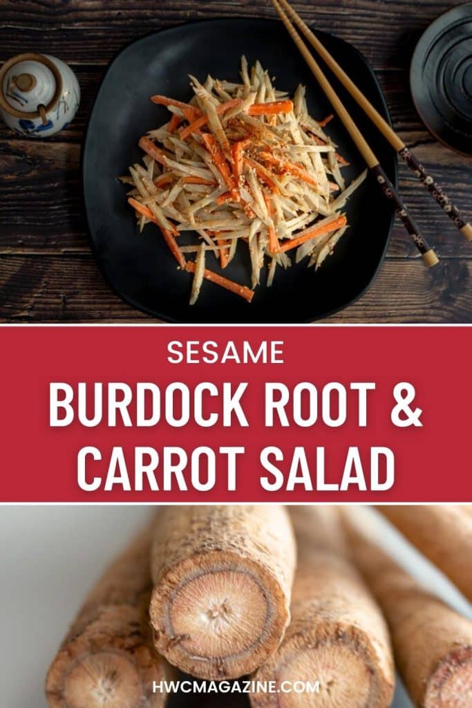 Japanese sesame burdock root and carrot salad on a wooden plate and showing whole gobo.