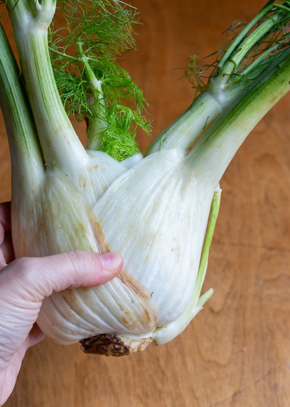 Whole fennel bulb being held in one hand.