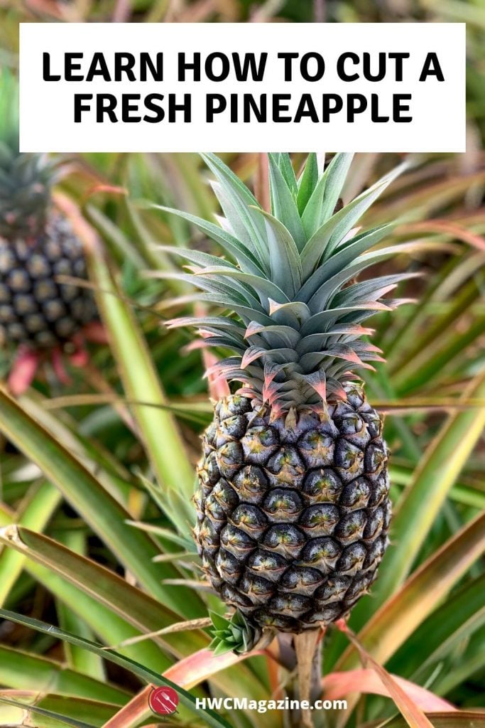 Learn hot to cut a fresh pineapple.