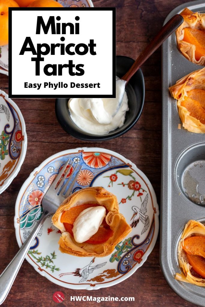 Mini Apricot Tart on a beautiful Japanese plate with a bowl of coconut whipped topping on the background.