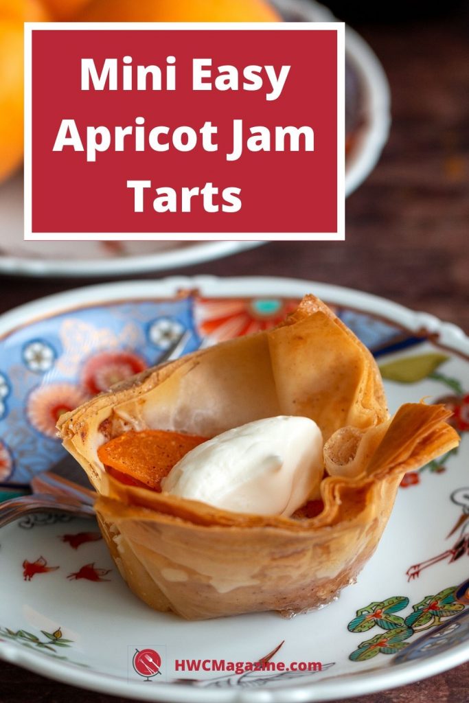 Individual apricot cart on a colorful plate with fresh apricots in the background.