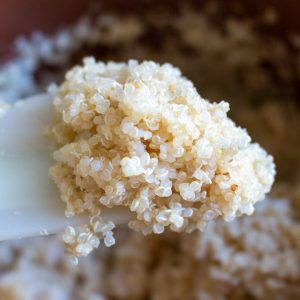 Cooked Quinoa on a spoon.