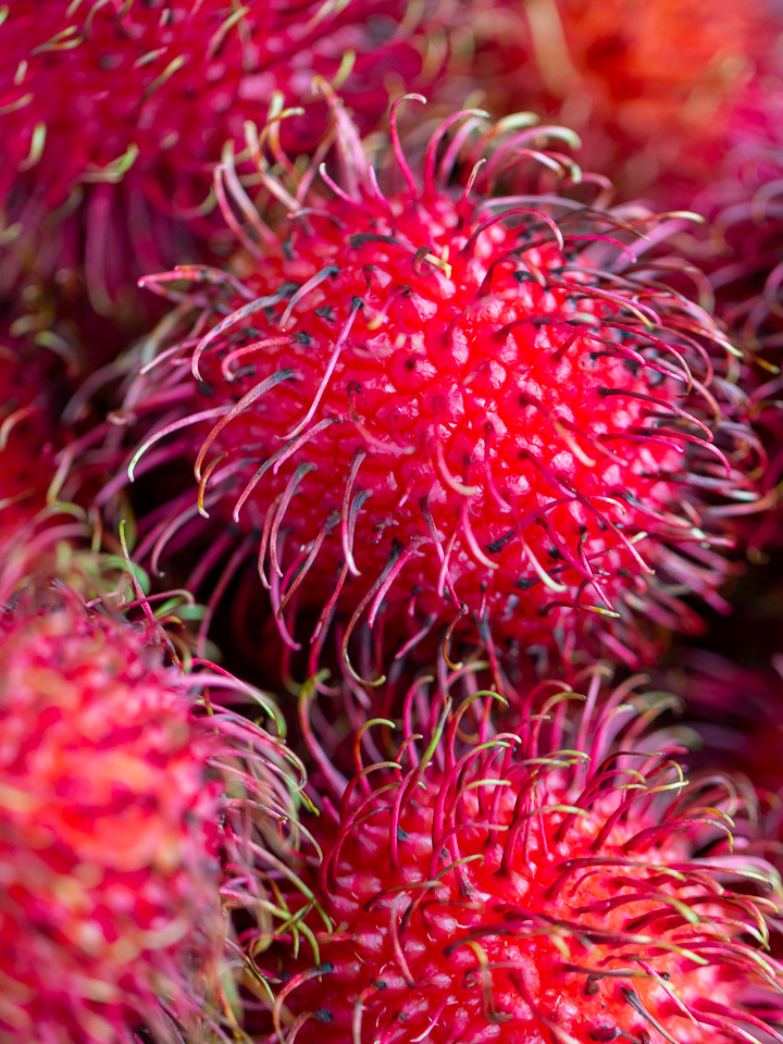 Close up shot of Rambutan showing all the little green hairy like protrusions.