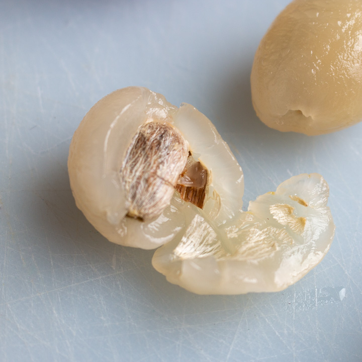 Rambutan peeled and cut in half showing the pit and the outer beige skin of the peel. The little bit of the skin of the pit that is left behind is okay to eat. 