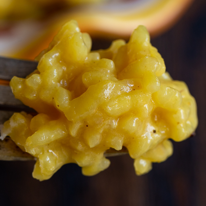 One delicious bite of risotto on a fork. 