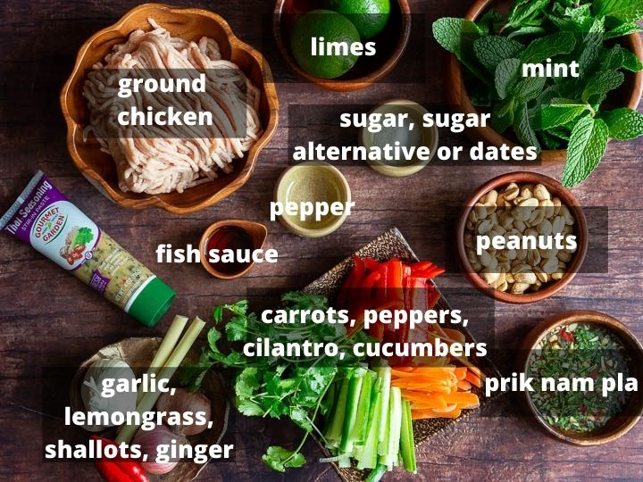 Ingredients like ground chicken, aromatics and sauces used for recipe.