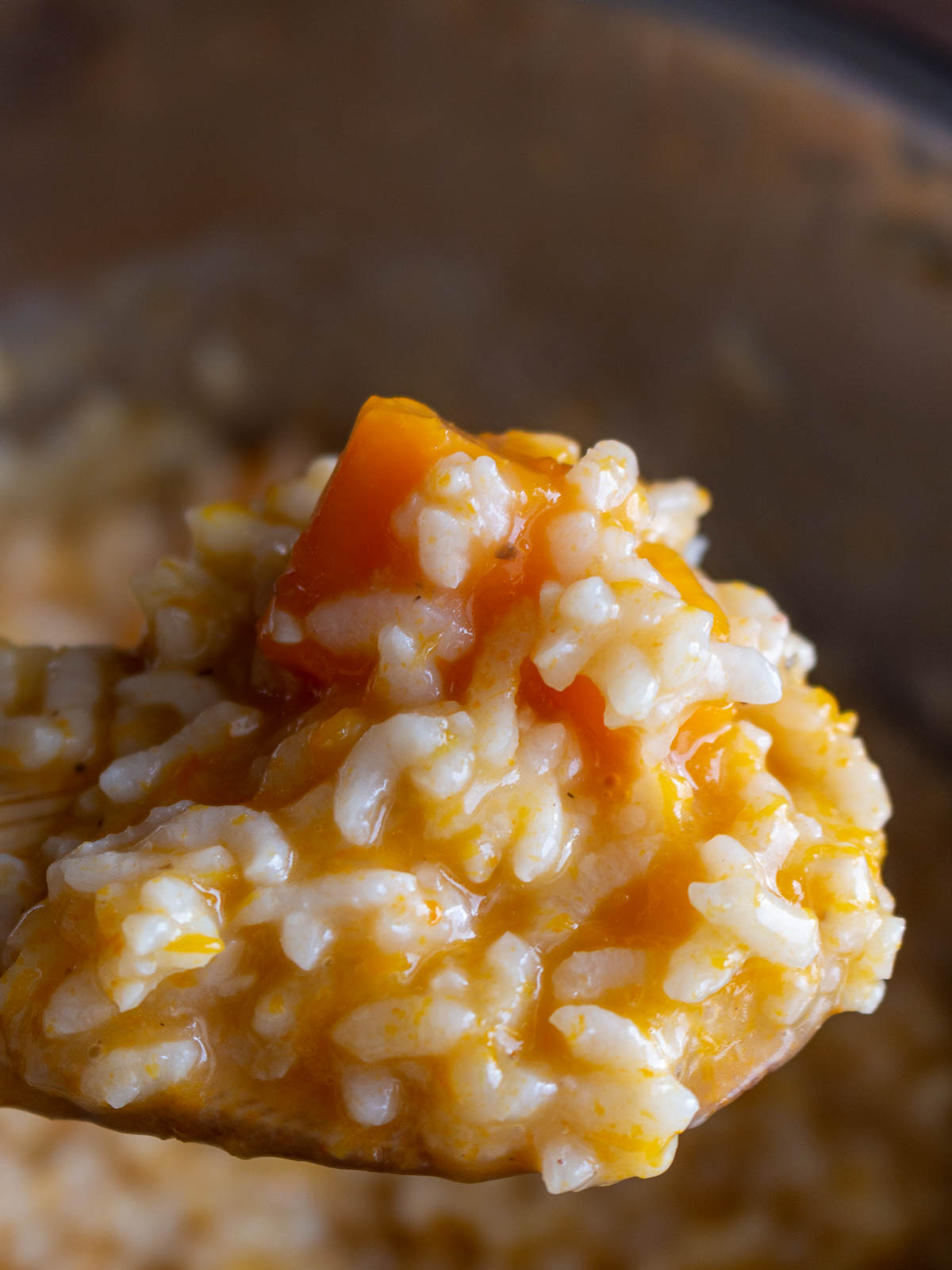 One huge serving spoon of cooked instant pot butternut squash risotto. 