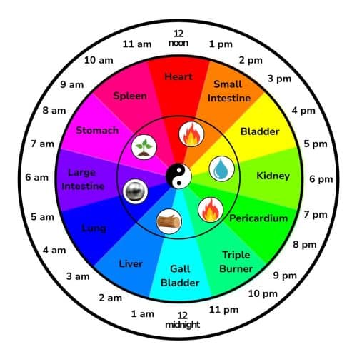 Diagram of the Chinese Body clock with the organs, times and corresponding elements.